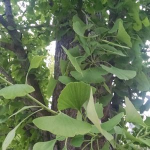 Meet your Posher, Jillian